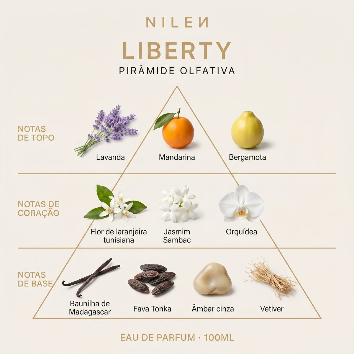 Pirâmide Olfativa