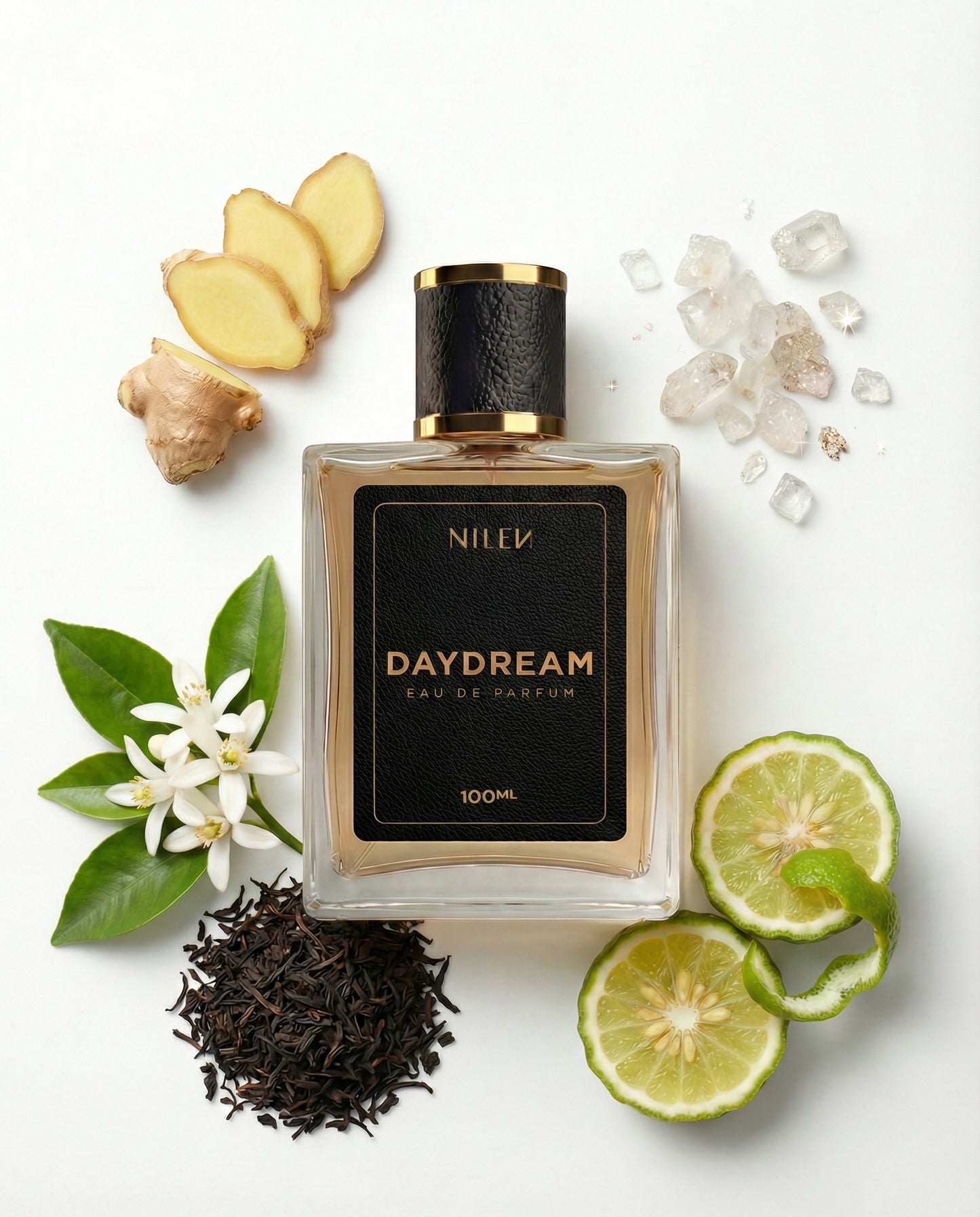 NILEN Daydream 100ml — perfume masculino contratipo LV Imagination, 25% EDP, frasco frente