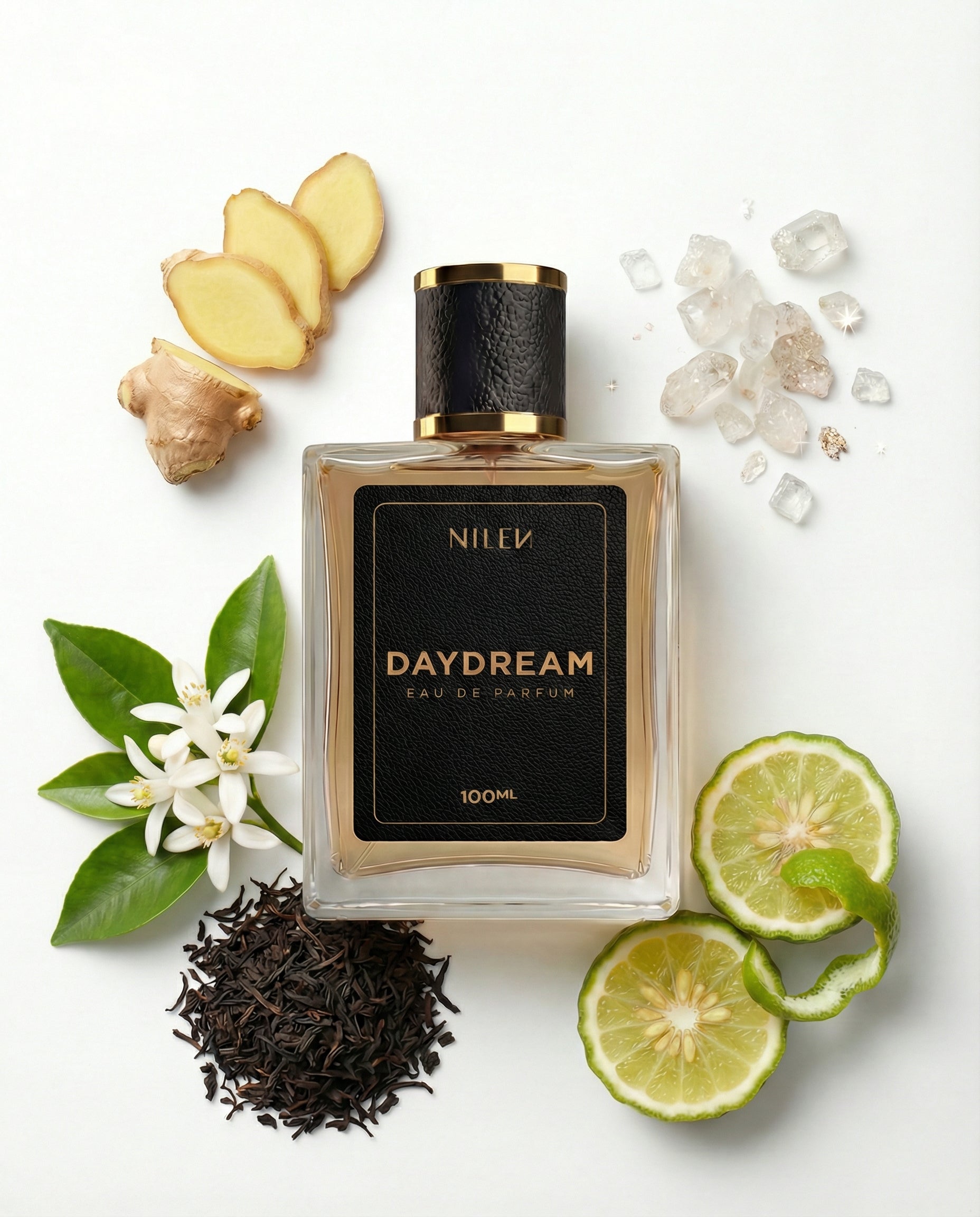 NILEN Daydream 100ml — perfume masculino contratipo LV Imagination, 25% EDP, frasco frente