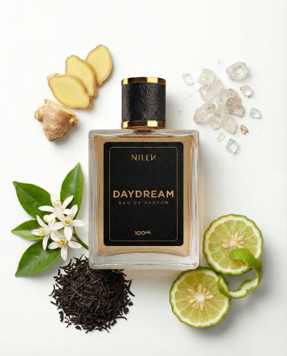 NILEN Daydream 100ml — perfume masculino contratipo LV Imagination, 25% EDP, frasco frente