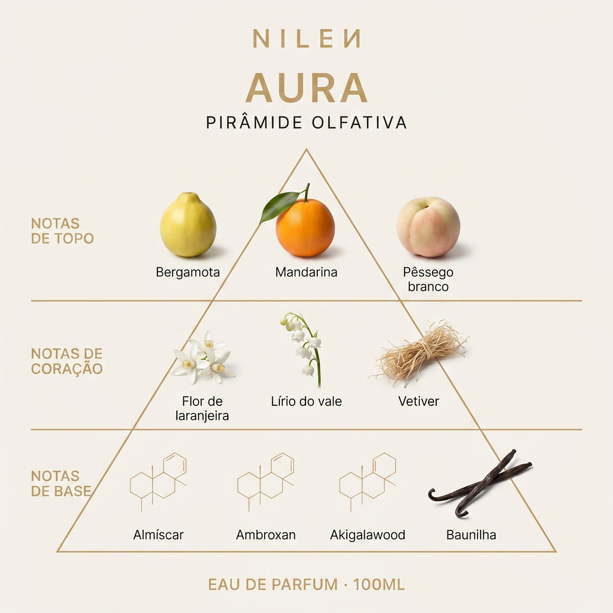 Pirâmide Olfativa